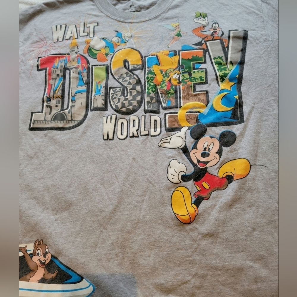 Hanes Walt Disney World Shirt Men's Large Gray Graphic Cotton Crew Neck Pullover